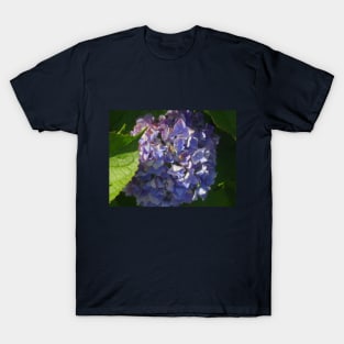 Beautiful photograph of violet hydrangea flowers T-Shirt